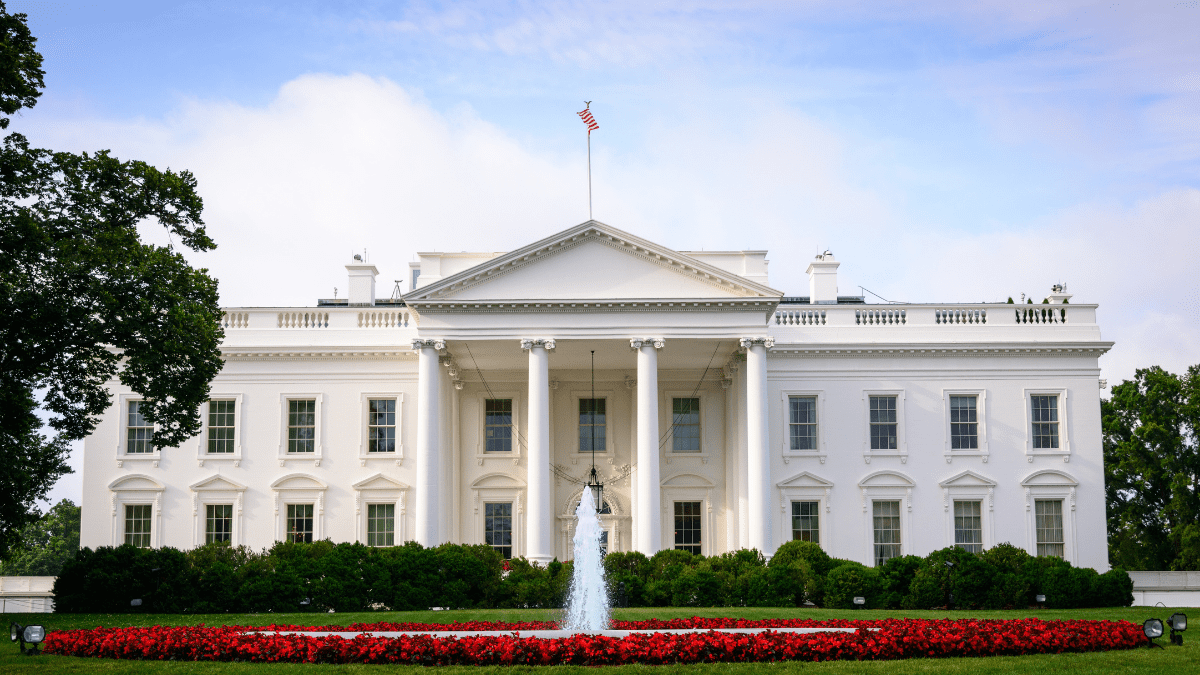 Rose April Blog Politics and Cyber Security
